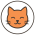 kedi1 kedi1